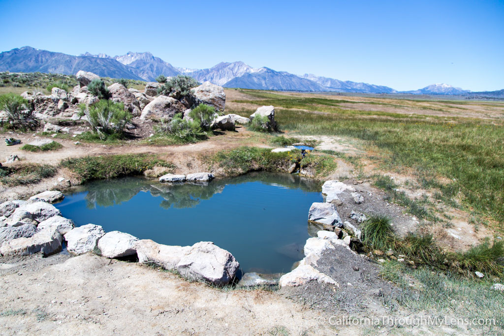 Wild Willy's Hot Spring